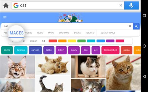 Search+ for Google - App on Amazon Appstore