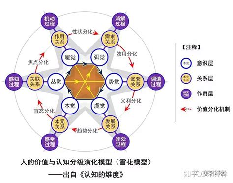 人类认知的六个维度 - 知乎