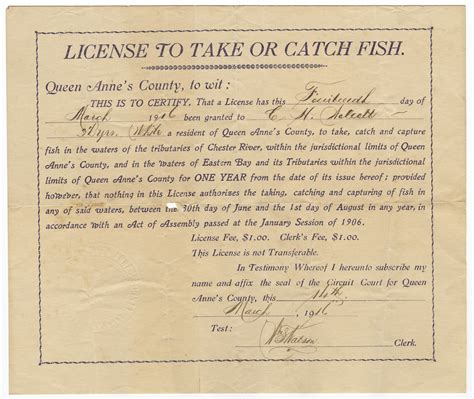 1917 Resident Queen Anne's County, Maryland Fishing License - Waterfowl ...