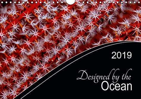 Buy Designed by the Ocean 2019: Mother nature is the most creative ...