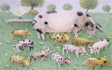 农业畜牧业农家土猪肉分割种类解png图片免费下载-素材7xQUgPeWU-新图网