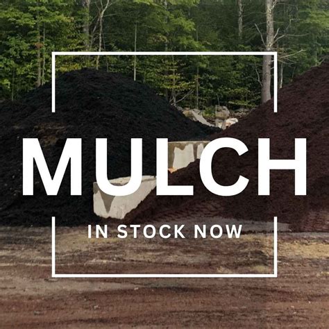 Mastering Mulch: A Guide to Types, Benefits, and Application