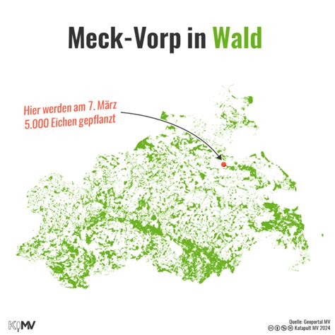 Image result for Macecode Katapult