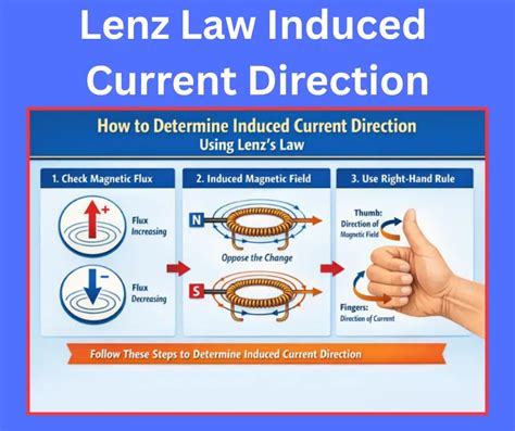 Lenz Law 的图像结果