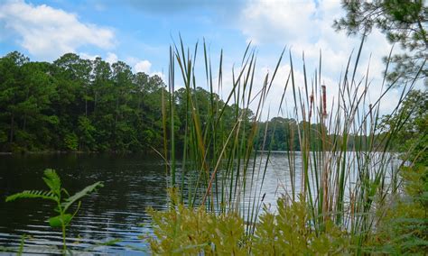 University Of West Florida Academic Calendar - Academiccalendars.net