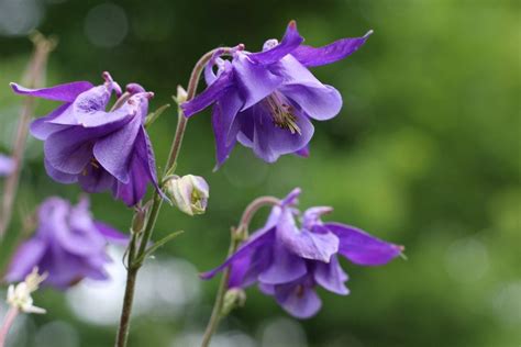 Image result for Algorithmique Informatique
