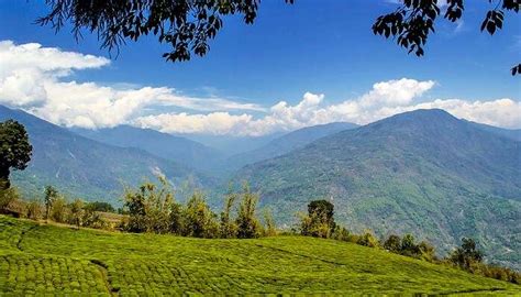 9 Places To Visit In Ravangla For A Refreshing Trip In 2026!