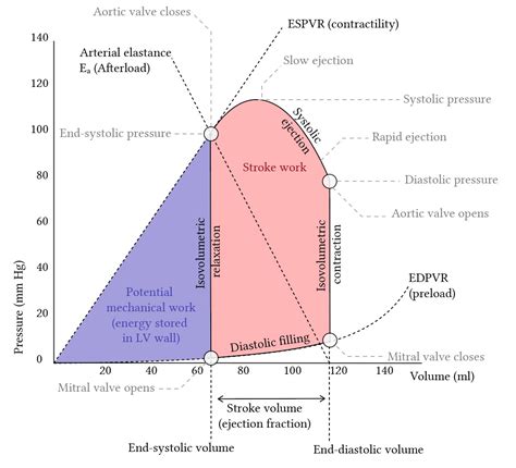 Ventricular pressure-volume loops | Deranged Physiology