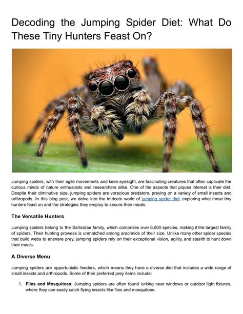 PPT - Decoding the Jumping Spider Diet: What Do These Tiny Hunters ...