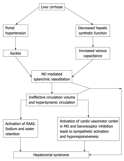 Terlipressin and hepatorenal syndrome: What is important for nephrologists and hepatologists