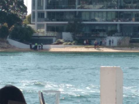 'Our darling girl': Parents' tribute to 16-year-old shark victim