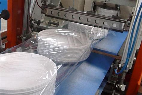 Manufacturer of Automatic Shrink Wrapping Machine | Two Roll Wrapping ...