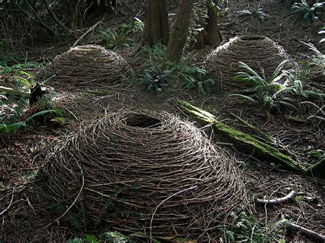 Environment Art 的图像结果