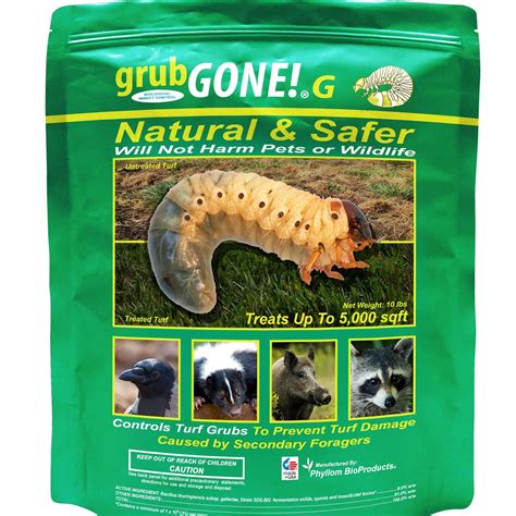 When to apply Grub Control in Riverton, UT 84065 for St. Augustine grass - Lawn Care Planner