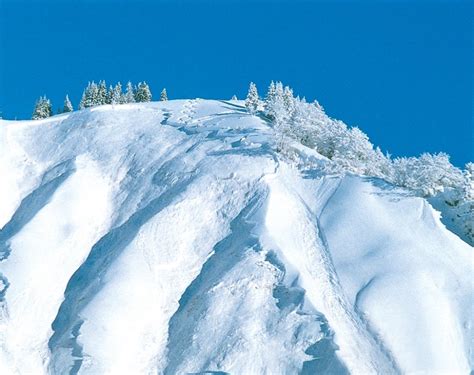 The limit strategy | PowderGuide