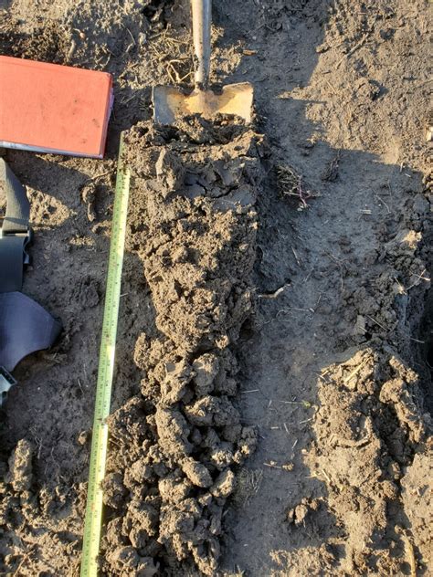 Image result for Soil Testing Project