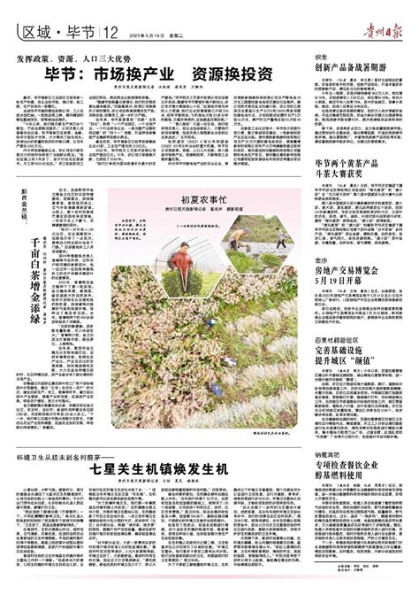 首届贵州古茶文化节今日在毕节市七星关区开幕，翟虎渠会长出席并致辞
