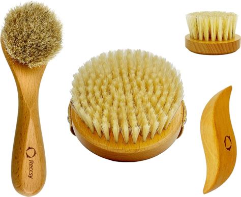 Amazon.com : CSM Dry Brushing Body Brush Set- Natural Bristle Body Brush, Exfoliating Face Brush ...