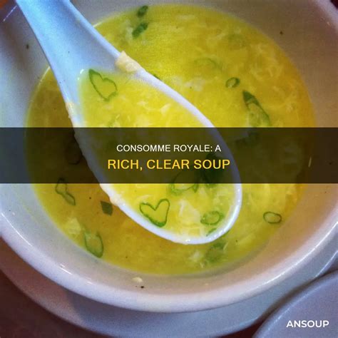 Consomme Royale: A Rich, Clear Soup | AnSoup