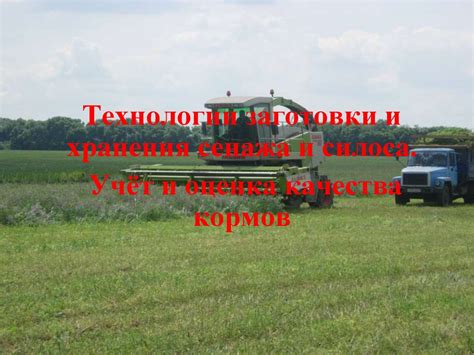 Технологии заготовки и хранения сенажа и силоса. Учёт и оценка качества ...