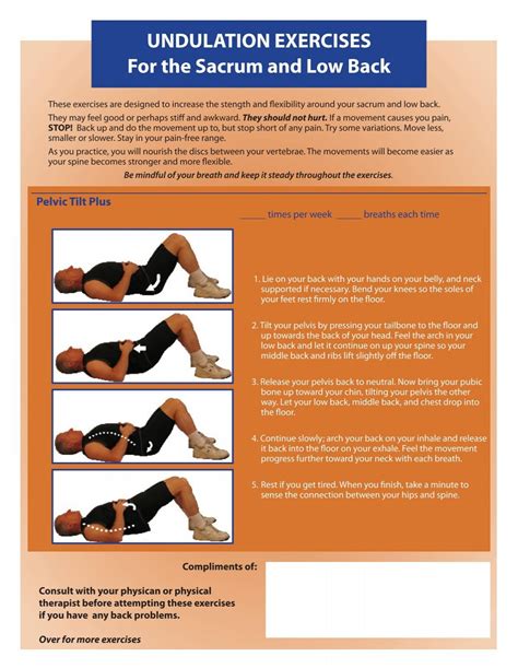 Image result for Undulation Training