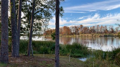 Three Rivers State Park – Florida – John Marucci – On The Road