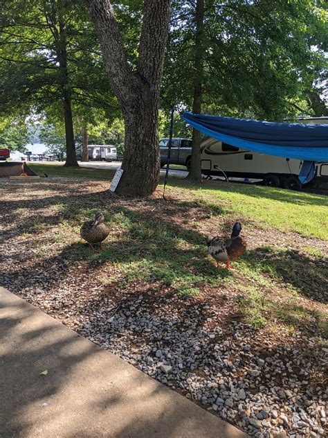 RV Life Diaries Part 4: Douglas Lake, Tennessee – With Love, Melissa