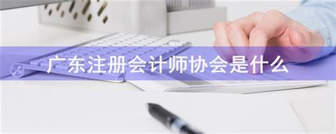 广东江门注册会计师协会网站_想知道更多进入>>