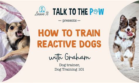 Image result for Reactive Behavior