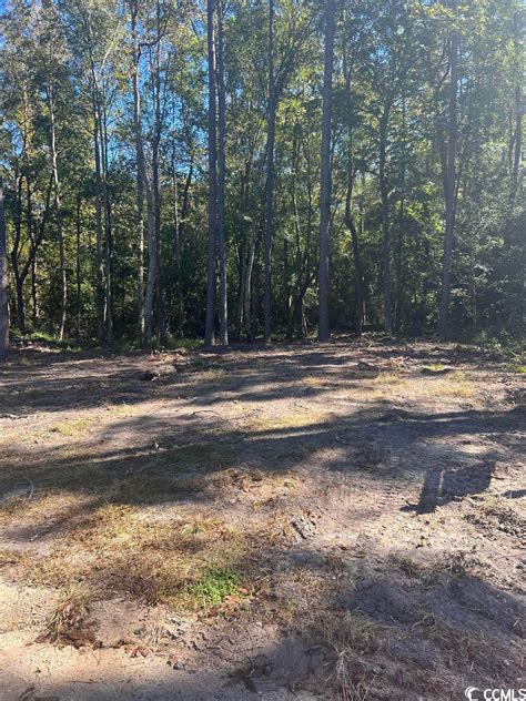 Morgan Lane Onlyfans