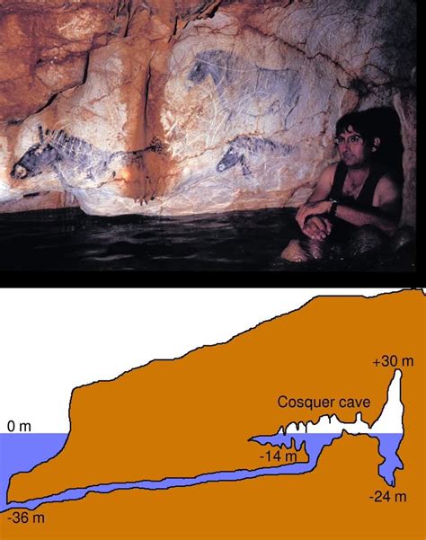 The Cosquer cave is a Palaeolithic decorated cave, located in France, that contains numerous ...
