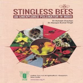 Stingless Bees An Unexplored Pollinator in India | ICAR