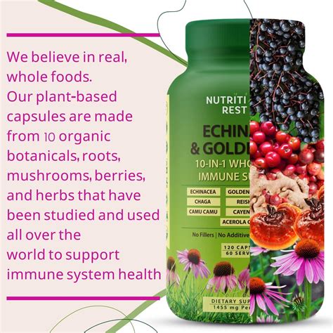 Organic Echinacea Goldenseal Capsules - 10-in-1 Immune Support ...