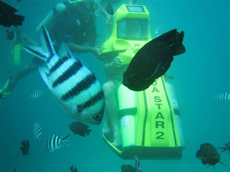 AQUA STAR - All You Need to Know BEFORE You Go 2026 (with Photos ...