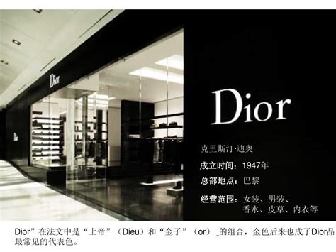 Dior 调研报告_word文档在线阅读与下载_无忧文档