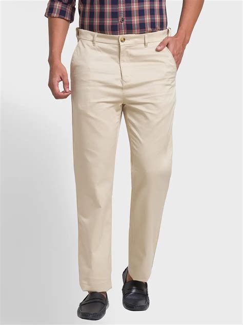 Colorplus Men Fawn Tailored Fit Piece Dyed Trouser – MyRaymond