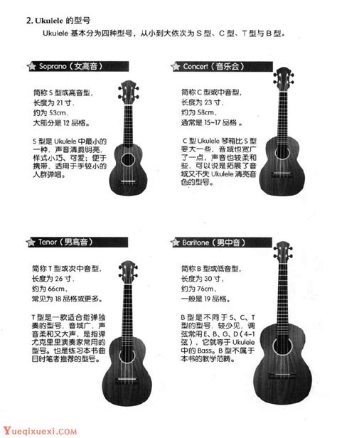Ukulele各部名称 尤克里里型号-ukulele入门 - 乐器学习网