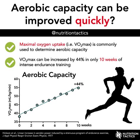 Aerobic Capacity Exercises Examples