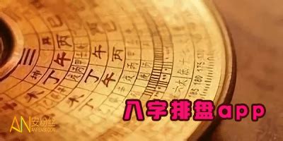 八字排盘软件哪个最好用?八字排盘软件下载免费下载-八字排盘软件手机版-安粉丝手游网