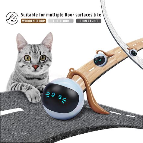 FOFOS 360°Self Rolling Cat Toy with Wand Teaser & India | Ubuy