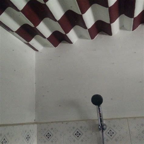 KURUVA ISLAND BAMBOO FOREST RESORT (Panamaram) - Specialty Inn Reviews ...