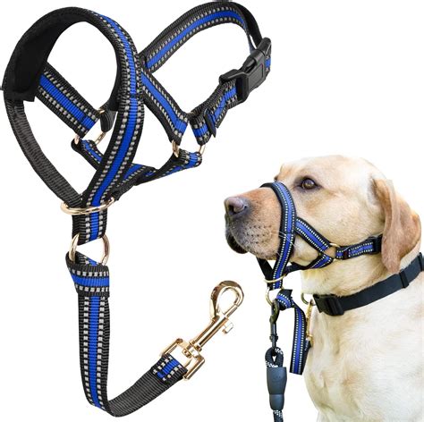 Amazon.com : S Black Dog Muzzle and S Blue No Pull Muzzle Leash Bundle ...