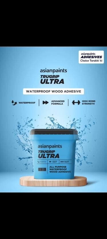 Asian Paints TRUE GRIP ULTRA Adhesive Price in India - Buy Asian Paints ...
