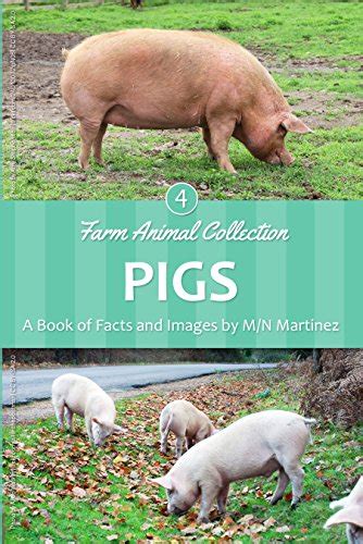 Pigs (Farm Animal Collection Book 4) eBook : Martinez, M/N: Amazon.in ...