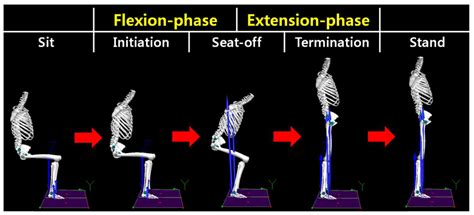 The Effect of Lumbar Belts with Different Extensibilities on Kinematic ...