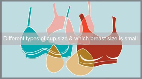 Cup Size Examples 的图像结果