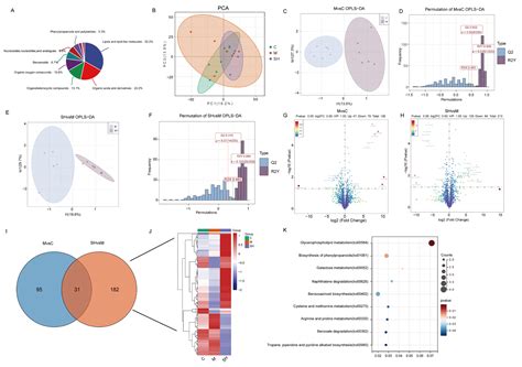 Mechanism of Mulberry Leaves and Black Sesame in Alleviating Slow ...