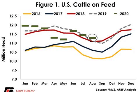 August Cattle on Feed Report Moderately Bearish With Large Placements
