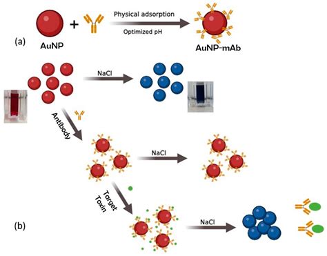 Mycotoxin Detection through Colorimetric Immunoprobing with Gold ...