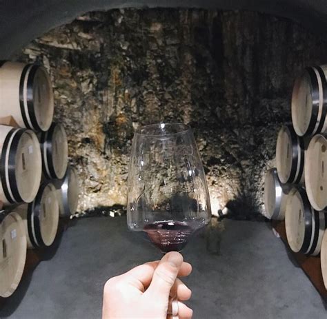 An In-Depth Tour of B Cellars Winery, Napa (2023 Photos)